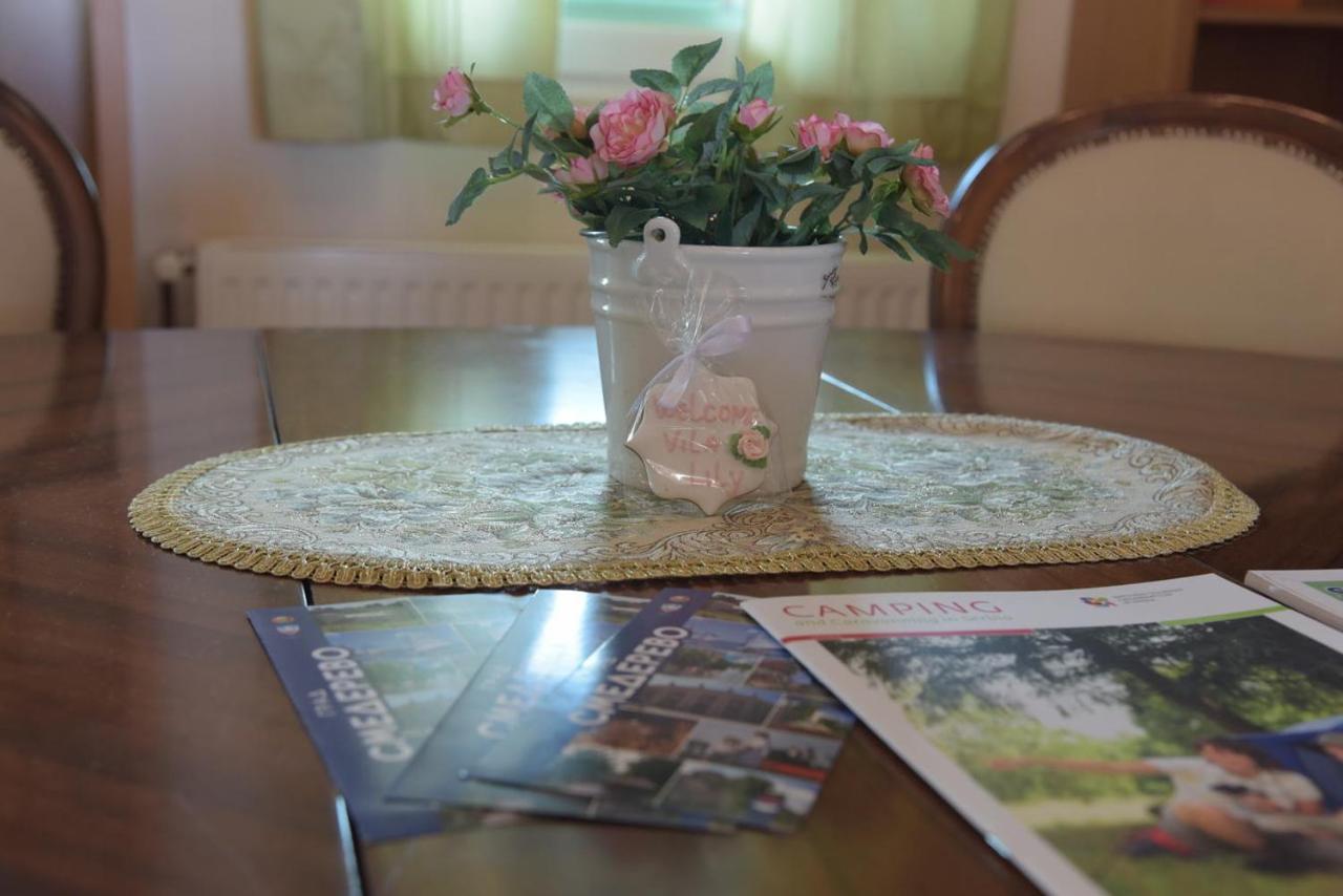 Vila Lily Villa สเมเดเรโว ภายนอก รูปภาพ